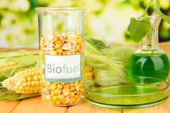 Ham Green biofuel availability